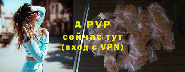Альфа ПВП Аркадак
