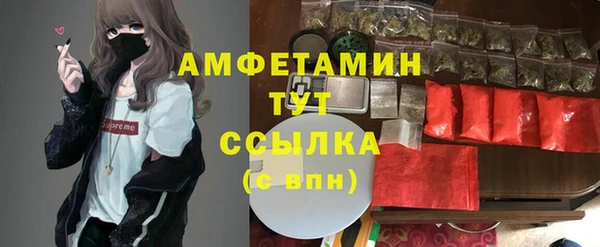 Альфа ПВП Аркадак