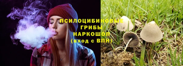 крисы Балабаново