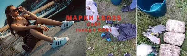 Альфа ПВП Аркадак